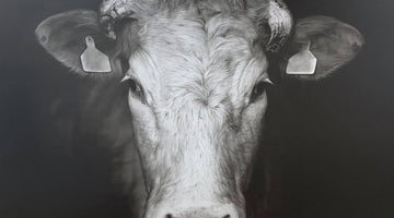 Brabantse worstenbroodjes in Barendrecht